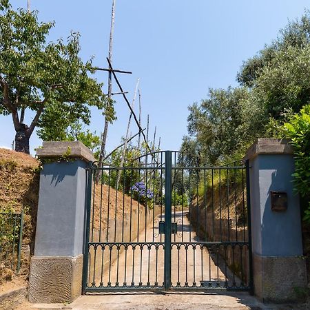Villa Ada Sorrento Exterior photo